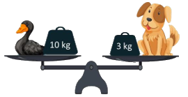 Đề kiểm tra học kì 2 Toán 2 Chân trời sáng tạo - Đề số 4 2