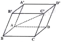 Đề minh họa THPT môn Toán năm 2025 có lời giải 1 4