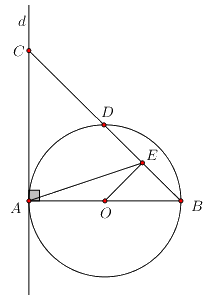 Đề số 11 - Đề thi vào lớp 10 môn Toán 7