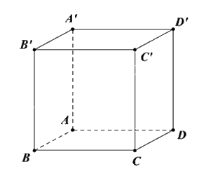Đề tham khảo thi THPT môn Toán - Đề số 7 (hay, chi tiết) 0 1