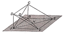 Đề thi giữa kì 1 Toán 11 Cánh diều - Đề số 2 6