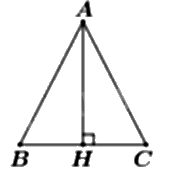 Đề thi giữa kì 1 Toán 11 Cánh diều - Đề số 2 8