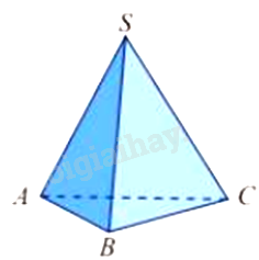 Đề thi giữa kì 1 Toán 11 Cánh diều - Đề số 4 5