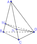 Đề thi giữa kì 1 Toán 11 Cánh diều - Đề số 5 6