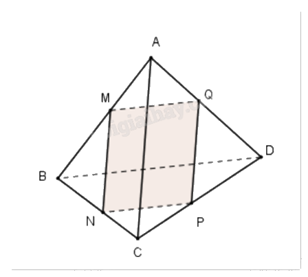 Đề thi giữa kì 1 Toán 11 Cánh diều - Đề số 8 1 4