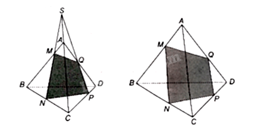 Đề thi giữa kì 1 Toán 11 Chân trời sáng tạo - Đề số 2 10
