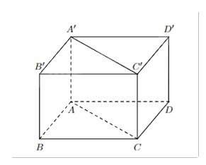 Đề thi giữa kì 1 Toán 11 Chân trời sáng tạo - Đề số 6 1 2