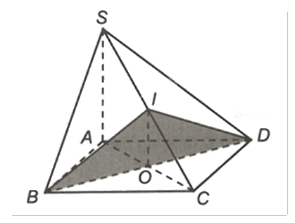 Đề thi giữa kì 1 Toán 11 Chân trời sáng tạo - Đề số 7 1 2