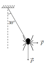 Đề thi giữa kì 1 Toán 12 - Đề số 2 0 9