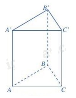 Đề thi giữa kì 1 Toán 7 - Đề số 11 1 8