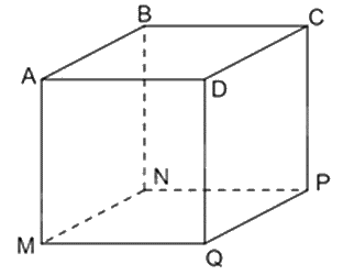 Đề thi giữa kì 1 Toán 7 - Đề số 12 1 1