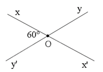 Đề thi giữa kì 1 Toán 7 - Đề số 13 0 7