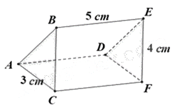 Đề thi giữa kì 1 Toán 7 - Đề số 13 1 4