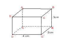 Đề thi giữa kì 1 Toán 7 - Đề số 7 1