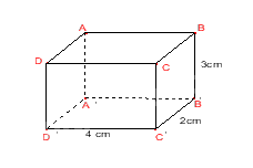 Đề thi giữa kì 1 Toán 7 - Đề số 7 1 2