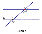 Đề thi giữa kì 1 Toán 7 - Đề số 9 - Kết nối tri thức 2