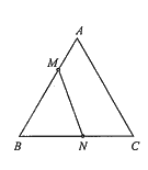Đề thi giữa kì 2 Toán 10 Chân trời sáng tạo - Đề số 3 11