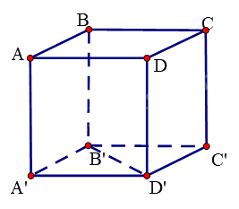 Đề thi giữa kì 2 Toán 11 Cánh diều - Đề số 1 1 11