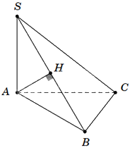 Đề thi giữa kì 2 Toán 11 Cánh diều - Đề số 3 1 14