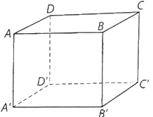 Đề thi giữa kì 2 Toán 11 Cánh diều - Đề số 3 1 10