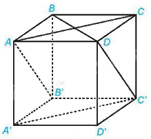 Đề thi giữa kì 2 Toán 11 Cánh diều - Đề số 4 1 7