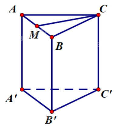 Đề thi giữa kì 2 Toán 11 Cánh diều - Đề số 7 1 10