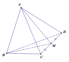 Đề thi giữa kì 2 Toán 11 Chân trời sáng tạo - Đề số 5 1 11