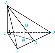 Đề thi giữa kì 2 Toán 11 Chân trời sáng tạo - Đề số 5 1 7
