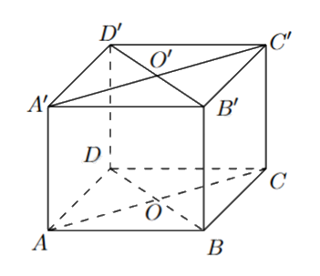 Đề thi giữa kì 2 Toán 11 Chân trời sáng tạo - Đề số 7 0 2