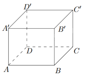 Đề thi giữa kì 2 Toán 11 Chân trời sáng tạo - Đề số 7 1 2