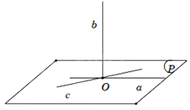 Đề thi giữa kì 2 Toán 11 Kết nối tri thức - Đề số 2 1 3