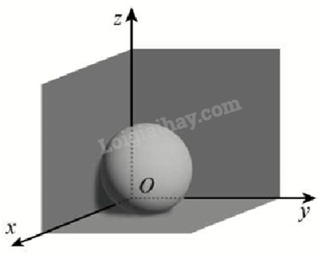 Đề thi giữa kì 2 Toán 12 Chân trời sáng tạo - Đề số 3 1 1