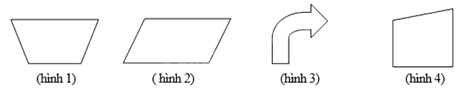 Đề thi giữa kì 2 Toán 6 Chân trời sáng tạo - Đề số 10 1 2