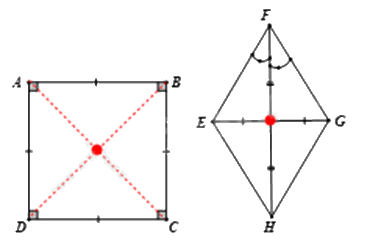 Đề thi giữa kì 2 Toán 6 Chân trời sáng tạo - Đề số 9 1 14