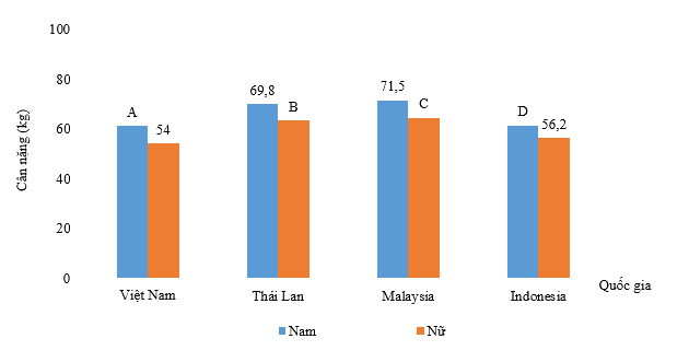 Đề thi giữa kì 2 Toán 6 - Đề số 5 - Cánh diều 1