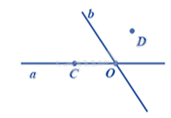 Đề thi giữa kì 2 Toán 6 Kết nối tri thức - Đề số 6 1 4