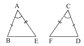 Đề thi giữa kì 2 Toán 7 Cánh diều - Đề số 8 1 5