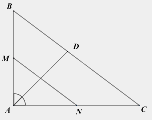 Đề thi giữa kì 2 Toán 8 Cánh diều - Đề số 9 1 15