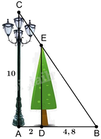 Đề thi giữa kì 2 Toán 8 Cánh diều - Đề số 9 1 6