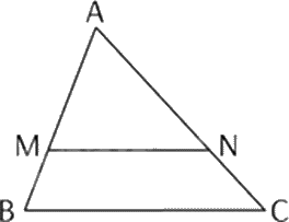 Đề thi giữa kì 2 Toán 8 Chân trời sáng tạo - Đề số 10 1 3