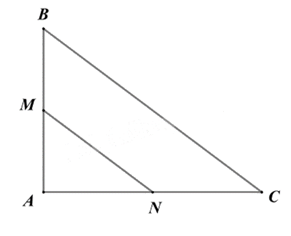 Đề thi giữa kì 2 Toán 8 Chân trời sáng tạo - Đề số 9 1 5