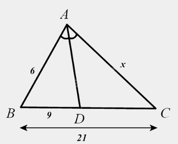 Đề thi giữa kì 2 Toán 8 Chân trời sáng tạo - Đề số 9 1 8