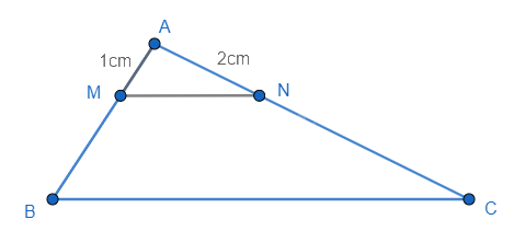 Đề thi giữa kì 2 Toán 8 - Đề số 1 - Cánh diều 1 6