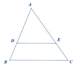 Đề thi giữa kì 2 Toán 8 - Đề số 1 - Chân trời sáng tạo 1 2