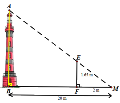 Đề thi giữa kì 2 Toán 8 - Đề số 1 - Chân trời sáng tạo 1 3