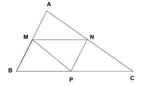 Đề thi giữa kì 2 Toán 8 - Đề số 1 - Chân trời sáng tạo 1 5