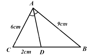Đề thi giữa kì 2 Toán 8 - Đề số 1 - Chân trời sáng tạo 1 6
