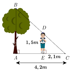 Đề thi giữa kì 2 Toán 8 - Đề số 2 - Cánh diều 1 5