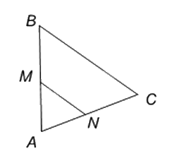 Đề thi giữa kì 2 Toán 8 - Đề số 3 - Cánh diều 1 5