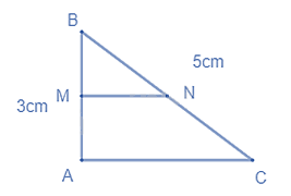 Đề thi giữa kì 2 Toán 8 - Đề số 4 - Kết nối tri thức 1 2
